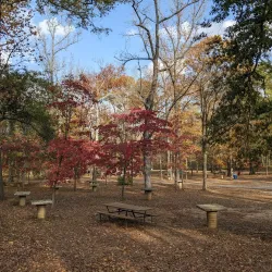 Dogwood Trails - Palestine