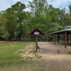 Dogwood Trails - Palestine