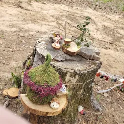 Dogwood Trails - Palestine