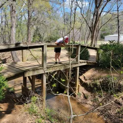 Dogwood Trails - Palestine