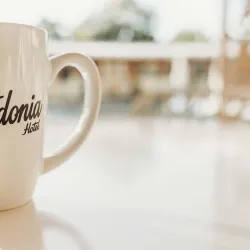 Fredonia Hotel - Palestine