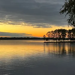 Lake Palestine - Palestine