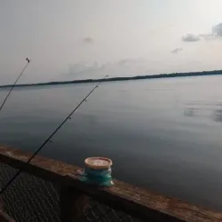 Lake Palestine - Palestine