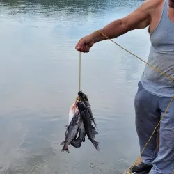 Lake Palestine - Palestine