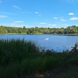 Lakeside Park - Palestine