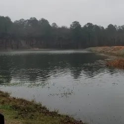 Lakeside Park - Palestine