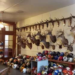 Museum for East Texas Culture - Palestine