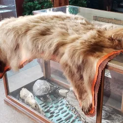 Museum for East Texas Culture - Palestine