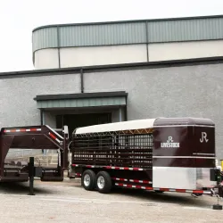 Palestine Civic Center - Palestine