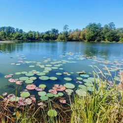 Palestine Depot and Visitor Center - Palestine
