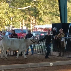 Winnsboro City Park - Palestine