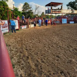 Winnsboro City Park - Palestine