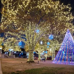 Culbertson Fountain - Paris