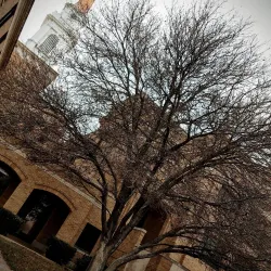 Downtown Plainview - Plainview