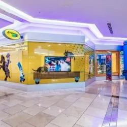 Crayola Experience Plano - Plano