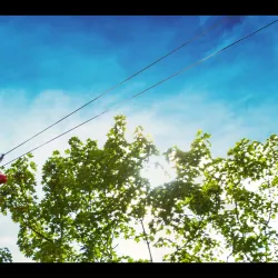 Go Ape Zipline & Adventure Park - Plano