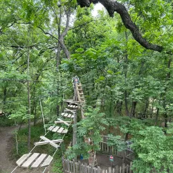 Go Ape Zipline & Adventure Park - Plano