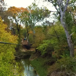 Go Ape Zipline & Adventure Park - Plano