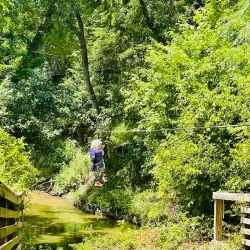 Go Ape Zipline & Adventure Park - Plano