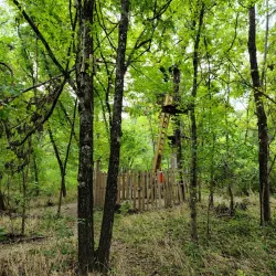 Go Ape Zipline & Adventure Park - Plano