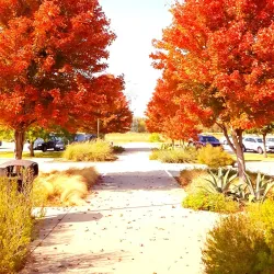 Oak Point Park and Nature Preserve - Plano