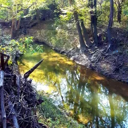 Oak Point Park and Nature Preserve - Plano