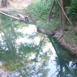 Oak Point Park and Nature Preserve - Plano