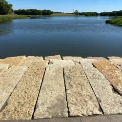 Plano Balloon Festival - Plano