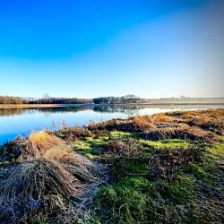 Plano Balloon Festival - Plano