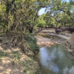 Plano Balloon Festival - Plano
