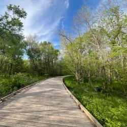 Plano Balloon Festival - Plano