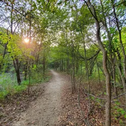 Plano Balloon Festival - Plano