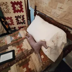 Rockwall County Historical Foundation Museum - Rockwall