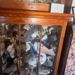 Rockwall County Historical Foundation Museum - Rockwall