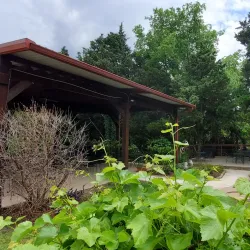 San Martiño Winery - Rockwall