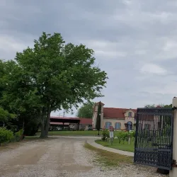 San Martiño Winery - Rockwall