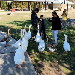 Brushy Creek Regional Trail - Round Rock