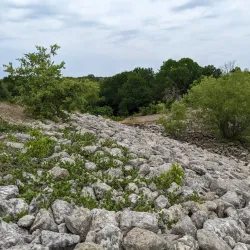 Brushy Creek Regional Trail - Round Rock