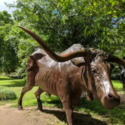 Chisholm Trail Crossing Park - Round Rock