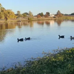 Old Settlers Park - Round Rock