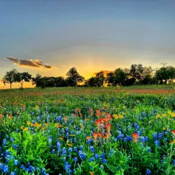 Old Settlers Park - Round Rock