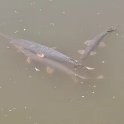 Concho River Walk - San Angelo
