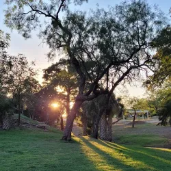 International Water Lily Collection - San Angelo