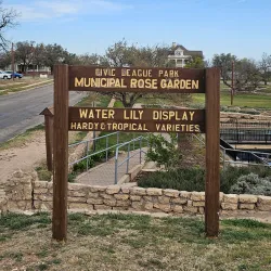 International Water Lily Collection - San Angelo