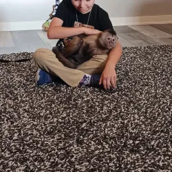 Robinson Park Zoo - San Angelo