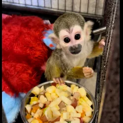 Robinson Park Zoo - San Angelo