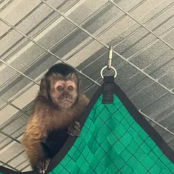 Robinson Park Zoo - San Angelo