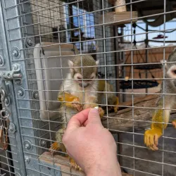 Robinson Park Zoo - San Angelo