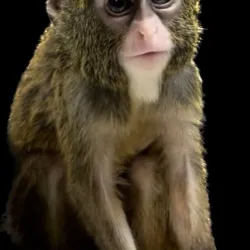 Robinson Park Zoo - San Angelo