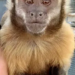 Robinson Park Zoo - San Angelo